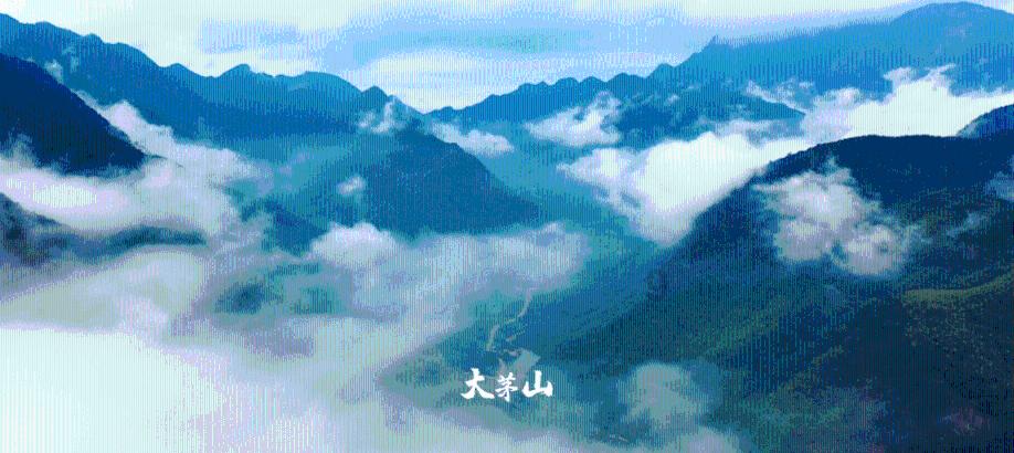 救援飞行员