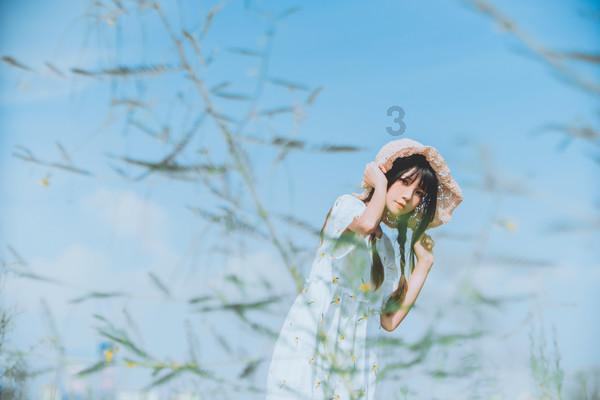 救援小孔雀